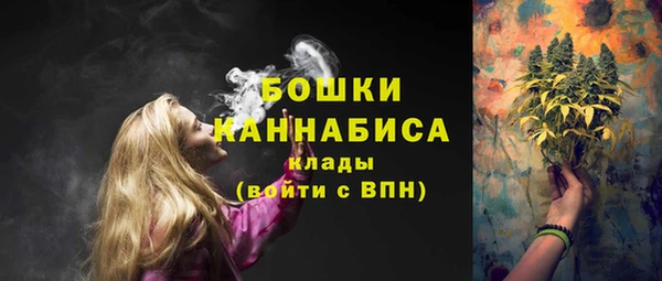 дурь Тавда