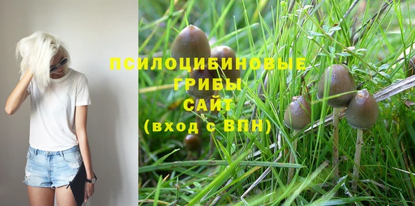 скорость Заволжье