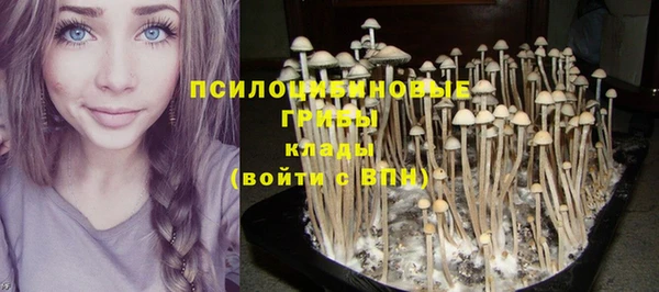 кокаин колумбия Заводоуковск