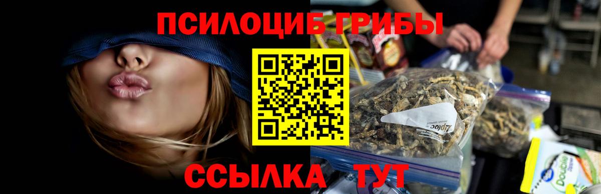 Кимовск  Галлюциногенные грибы MAGIC MUSHROOMS  Вход с VPN 